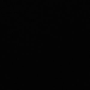 Meet your Posher, Dasha